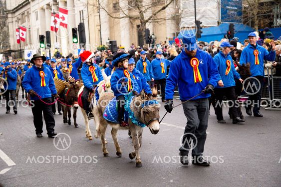new years day parade