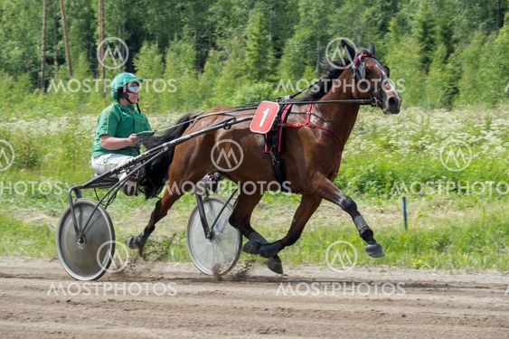 Hevonen