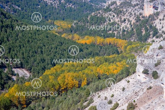 Canyon of the river wolves, Soria, Castilla y Leon, Spain