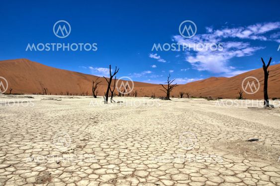 the site of deadvlei in the area of sossuvlei namibia africa