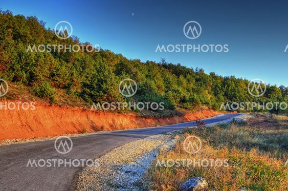 Road on forest, at night and moon