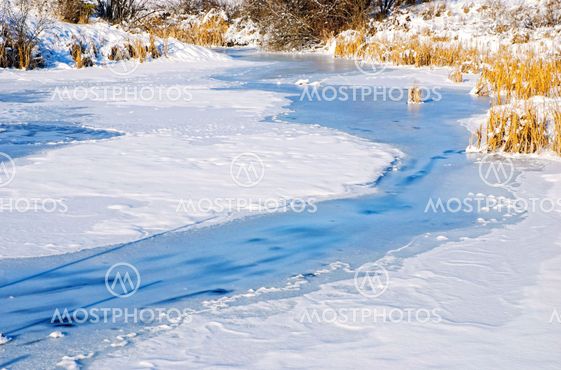 Icy Pond
