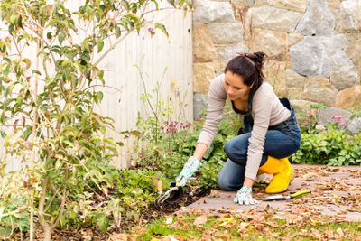 Young woman planting backyard gardening tools flowerbed