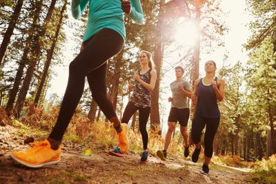 Group of four adults running in a forest, low angle close...