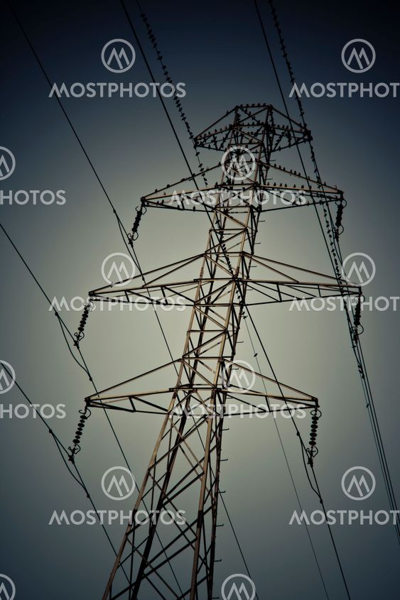 birds on energy