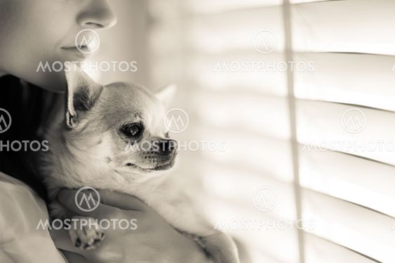 Woman and chihuahua