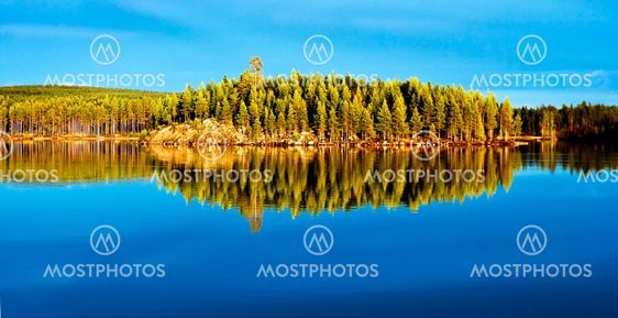 blue reflections