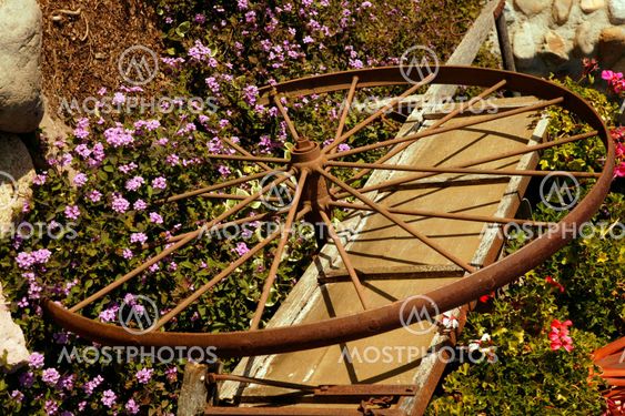 Flower Wheel