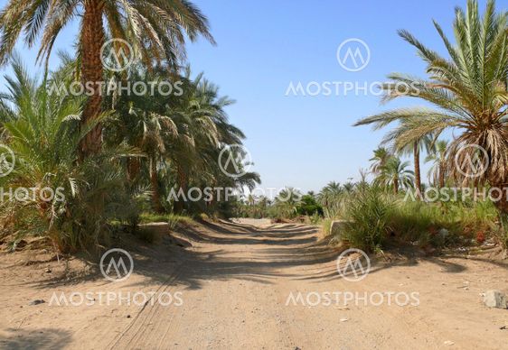 The road between Wadi Halfa and Khartoum.