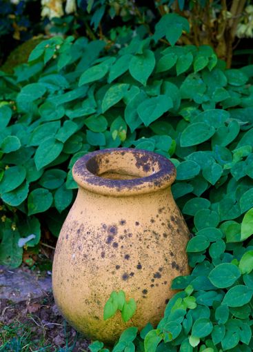 Pot, jar and leaves with garden for floral design,...