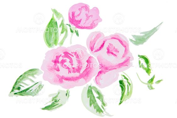Watercolor illustration of a flower