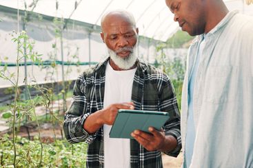 Tablet, black people or farming in greenhouse for crops...