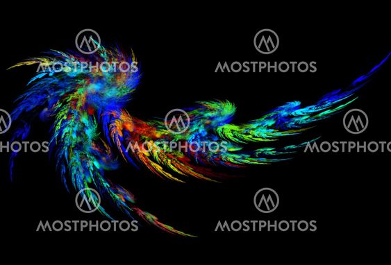 Blue color abstract feather