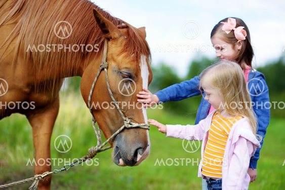 Two cute little sisters petting a horse in countryside