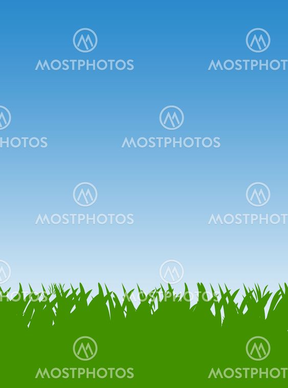 Green Grass lawn