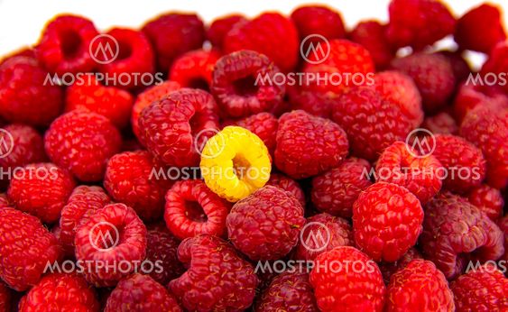The berry of yellow raspberries lies on red berries.