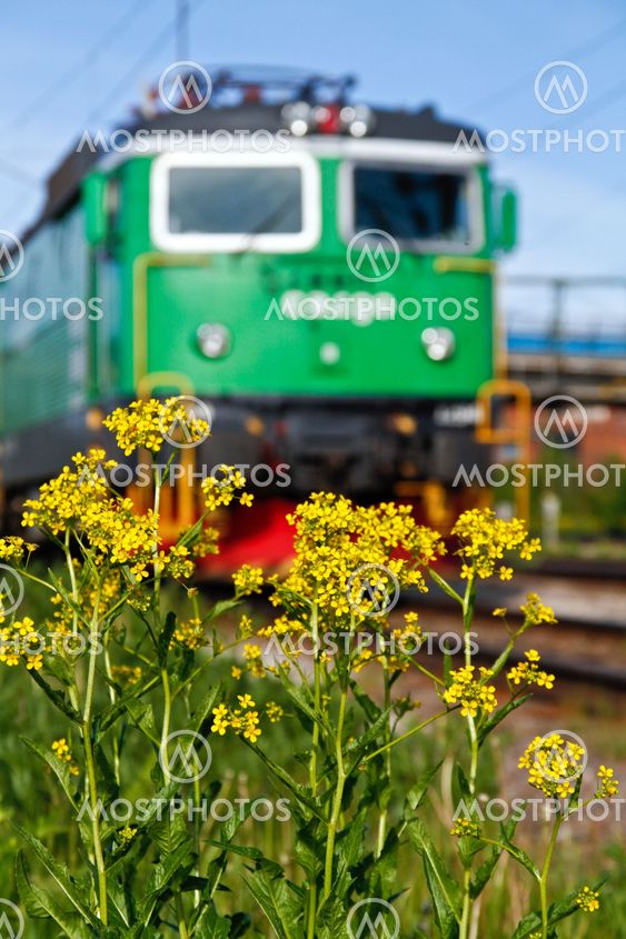 Green electric and greenery