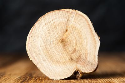 Texture of cross section juniper wood. Pattern of tree...