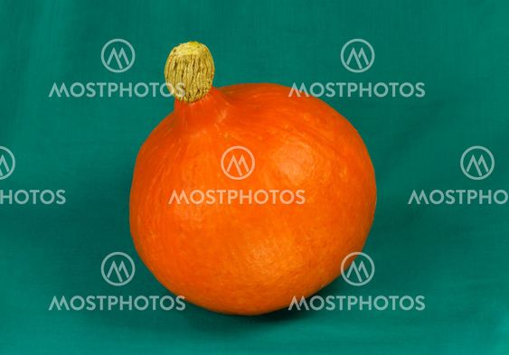 Still life of pumpkin