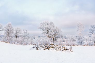 Wintry landscape view with a snowy rock cairn on a field