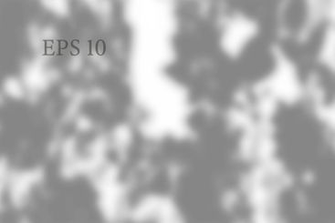 Transparent natural plant shadow. Light effect overlay....