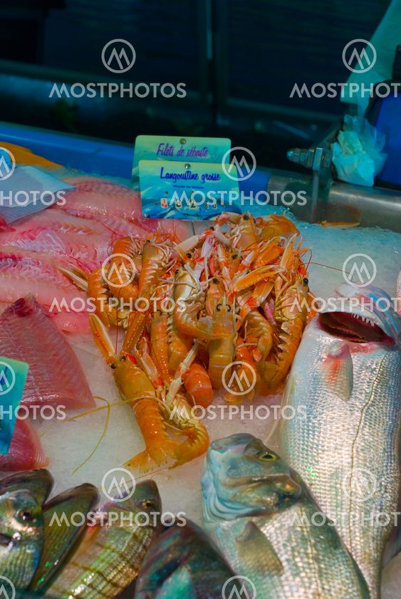 Meeresfrüchte - Seafood