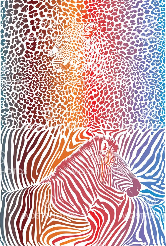Leopard and zebra with color background
