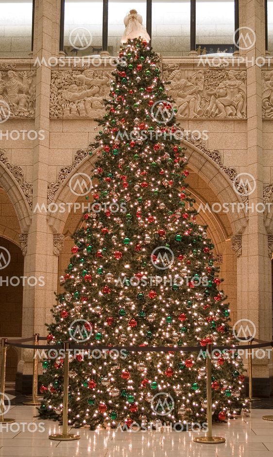 House Christmas Tree