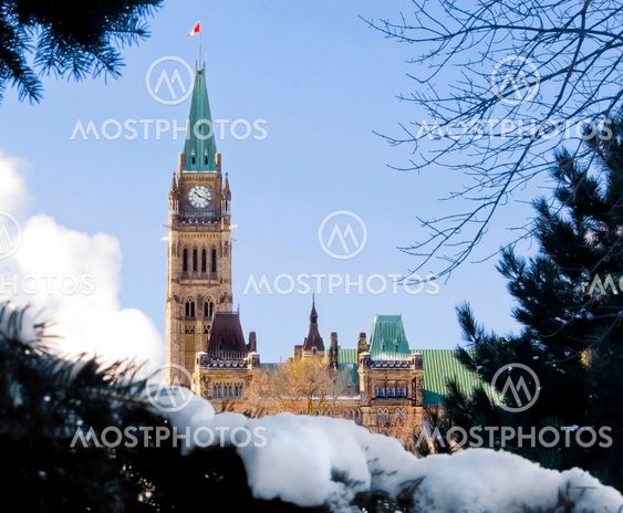 Parliamentary Profile