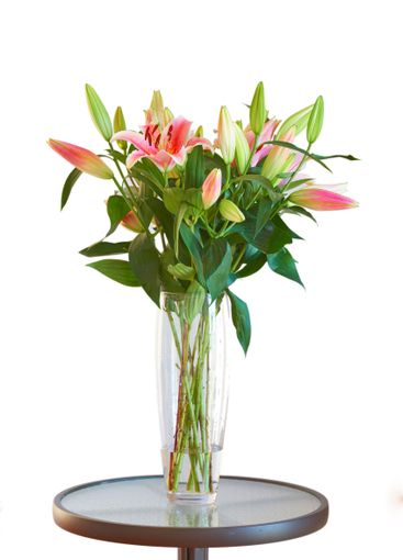 Lily, bouquet and blossom with closeup of flower for...