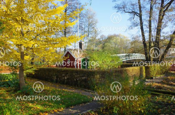 Home in autumn colors