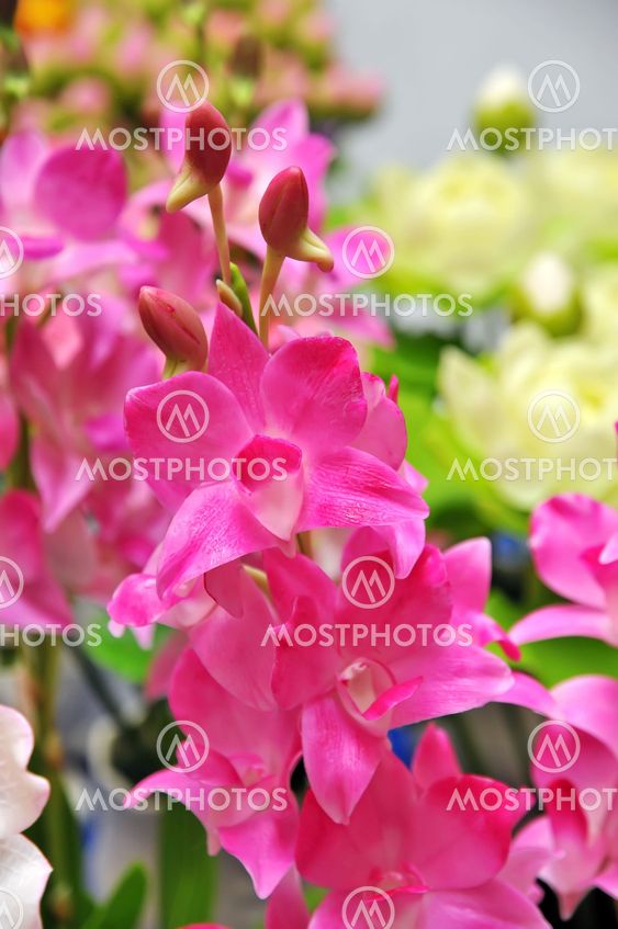 Artificial flowers