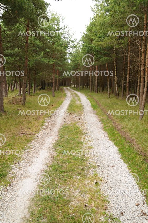 Road to the coast