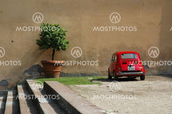 Fiat by flowerpot