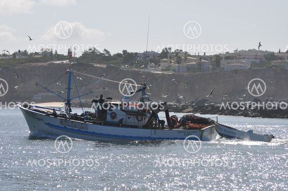Fishing Boat Arriving