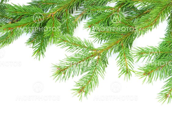 xmas tree