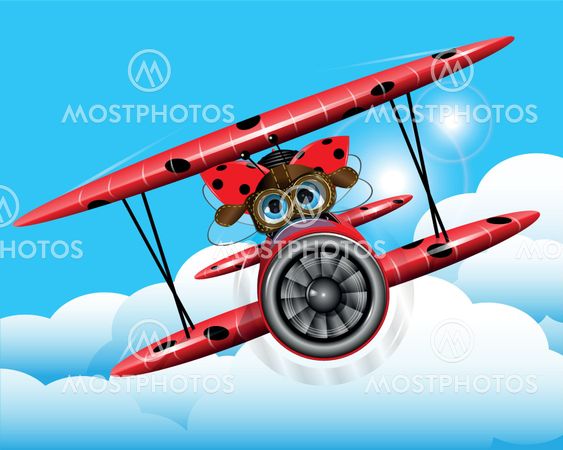 ladybug on a plane