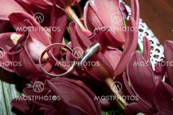 Wedding Rings