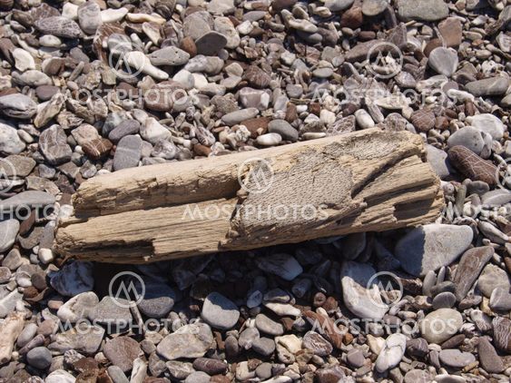 Wood after sea