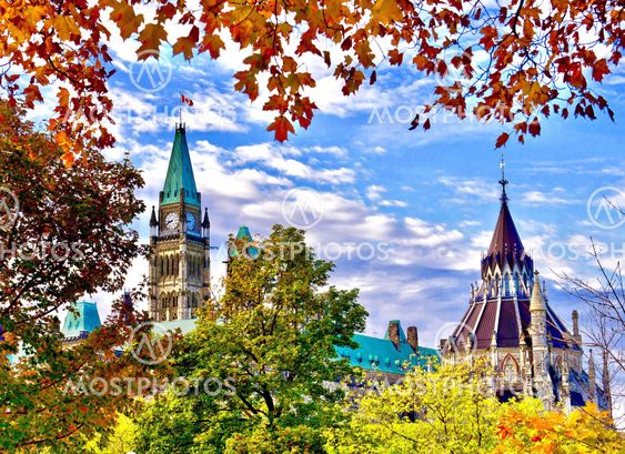 Autumn Politics