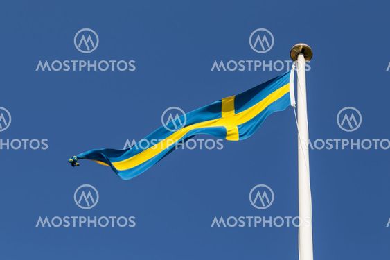 Swedish Flag