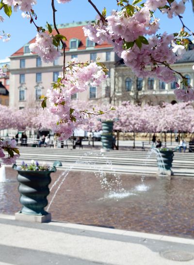 Kungsträdgården 01