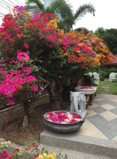 Fulländad mångfärgad blomsterprakt