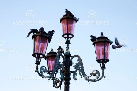 italy,venice : street-lamp and pigeons