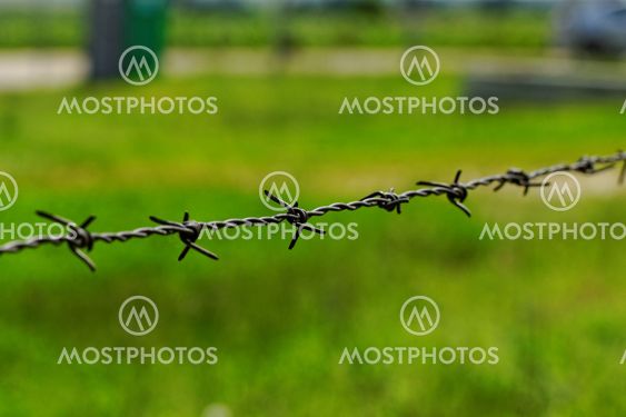 barbed wire