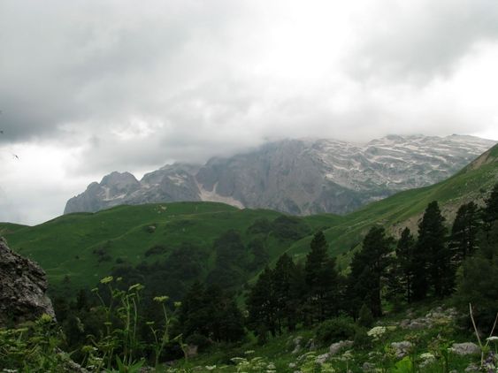 Berg