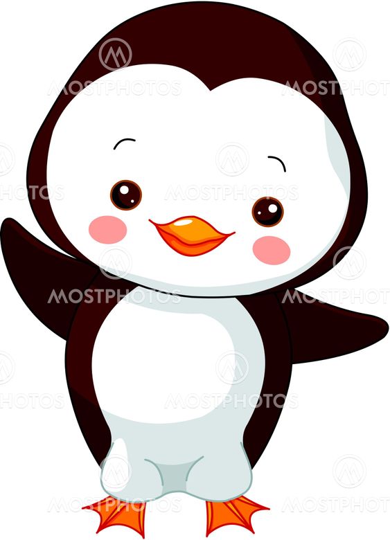 Fun zoo. Penguin
