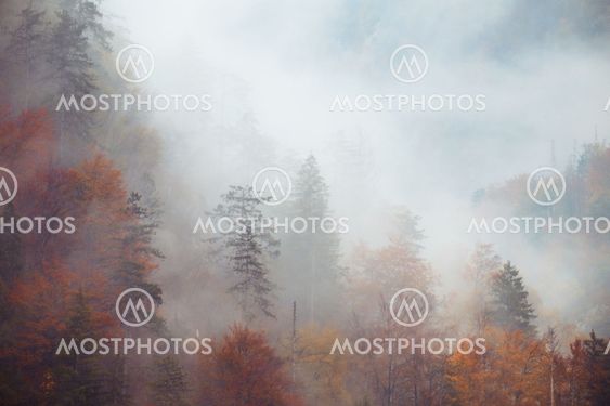 Landscape of misty mountain hills at fall