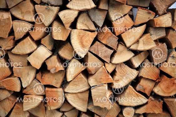 close up of cutted wood