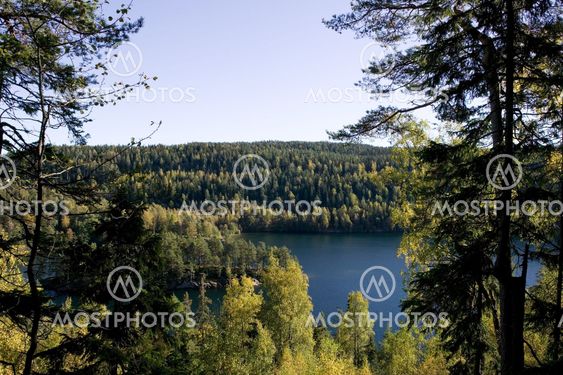 Forest Lake